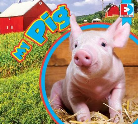 My Pig