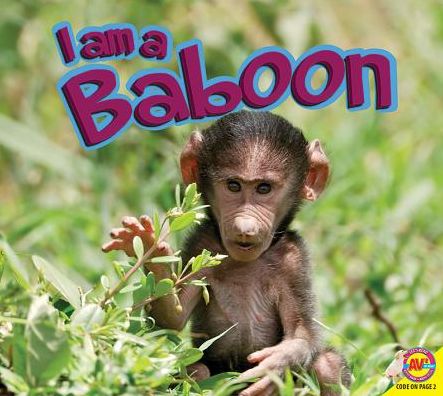 Baboon