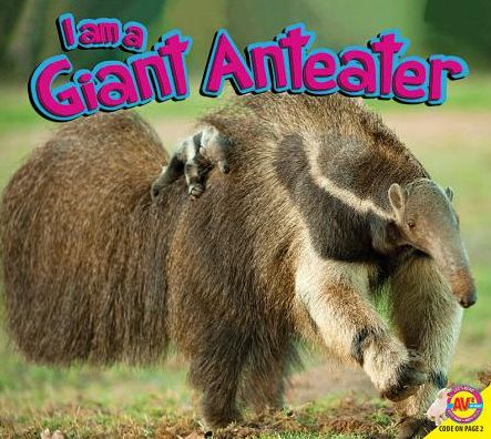 Giant Anteater