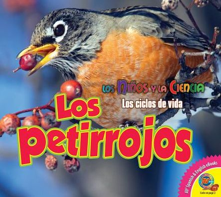 Los Petirrojos (Robins)