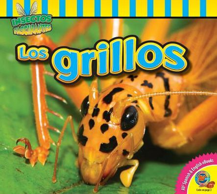 Los Grillos (Crickets)
