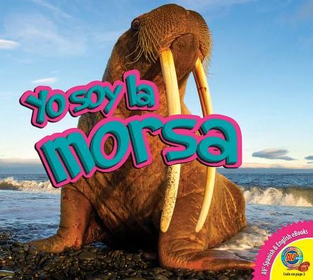 La Morsa (Walrus)
