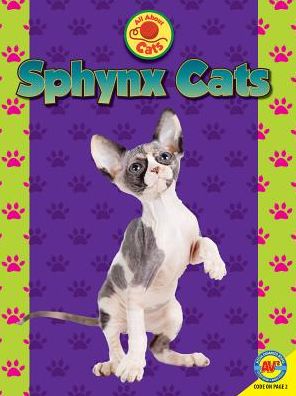Sphynx