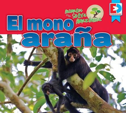 Animales de la Selva Amazonica El Mono Arana