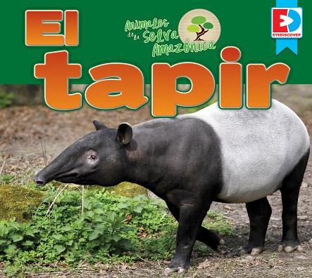 Animales de la Selva Amazonica El Tapir