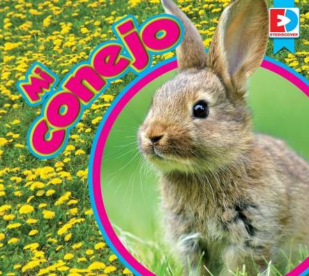 Mi Conejo
