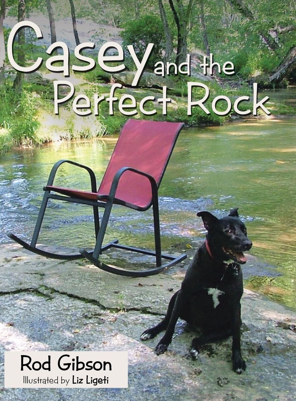 Casey and the Perfect Rock