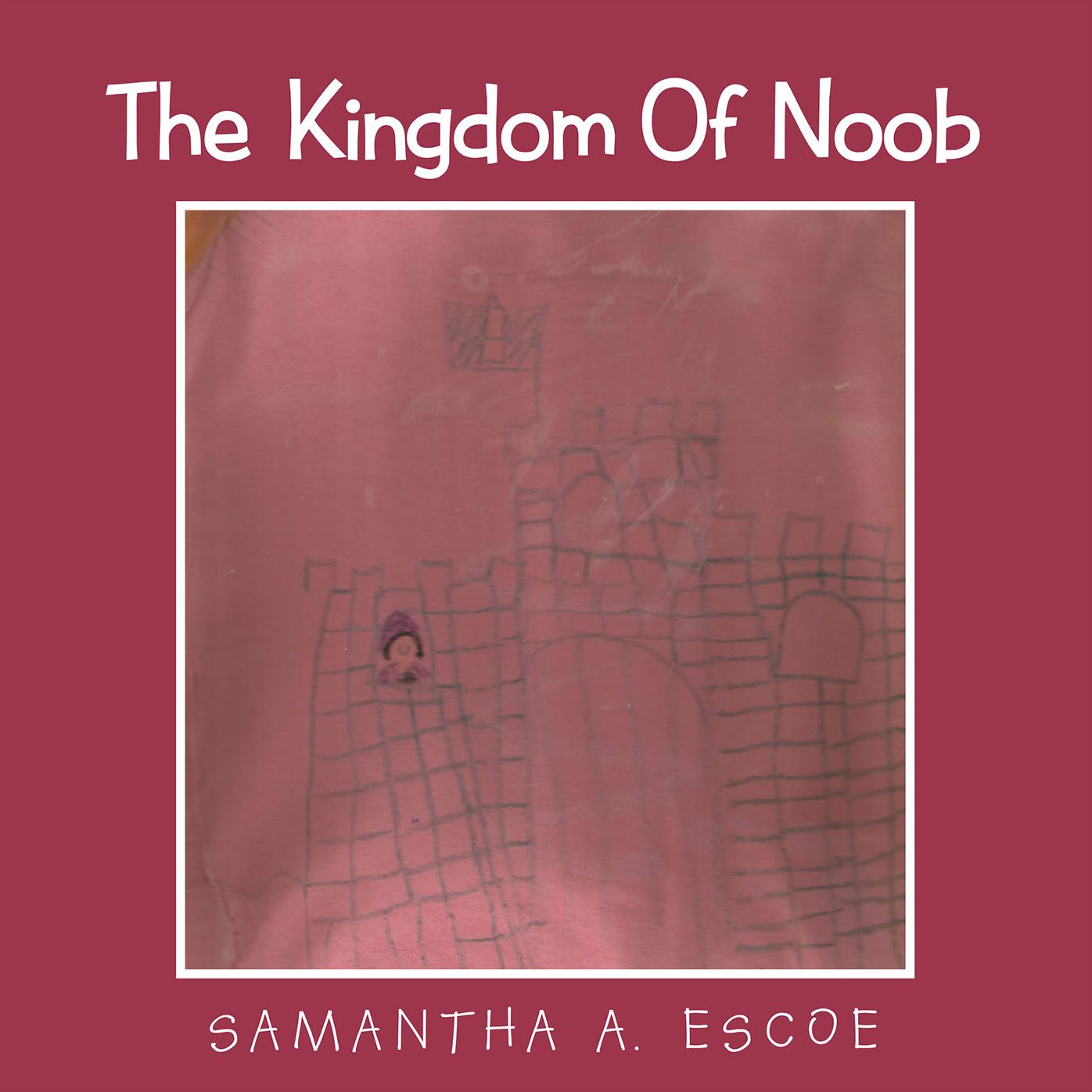 The Kingdom Of Noob