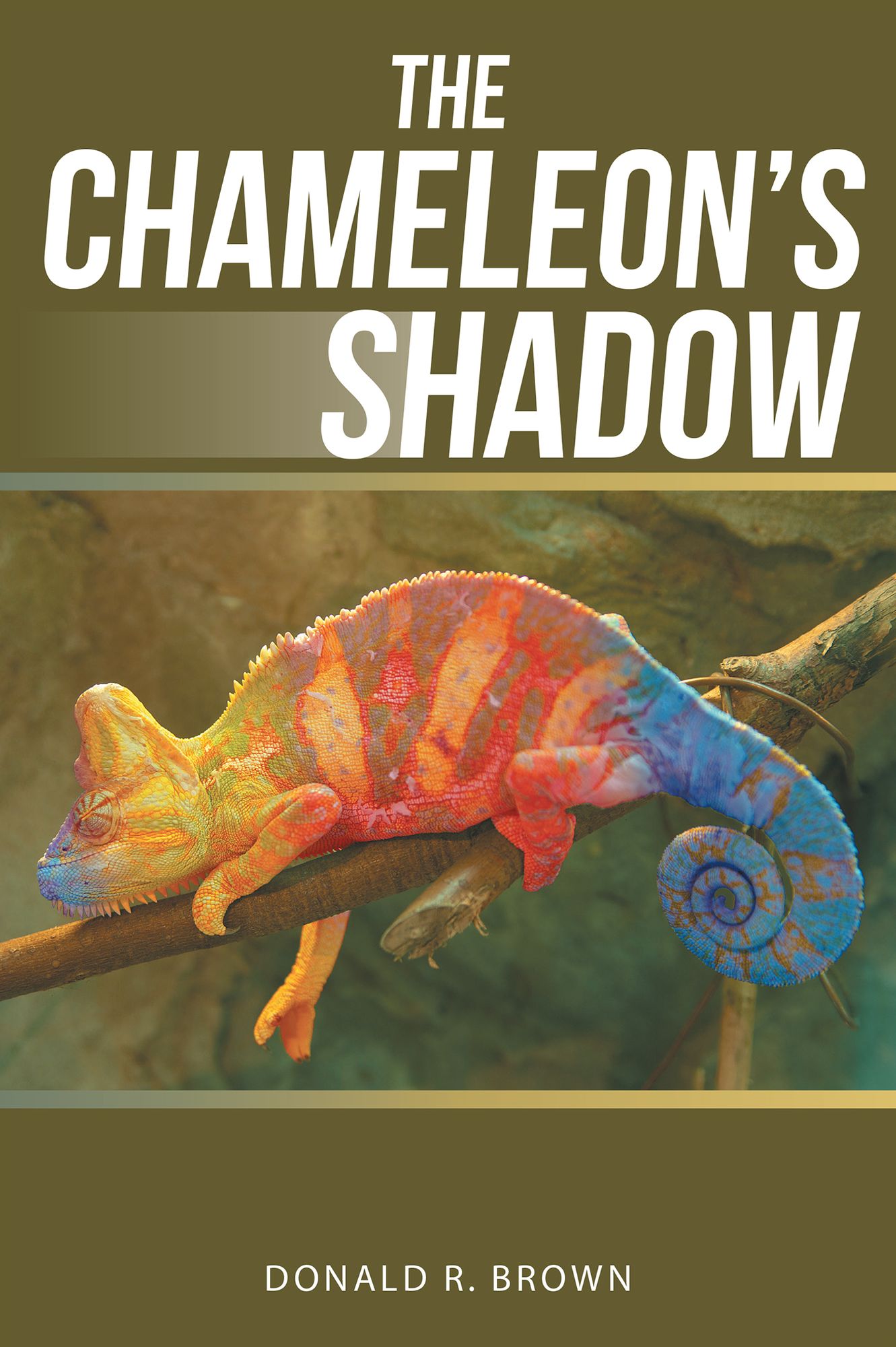 The Chameleon's Shadow