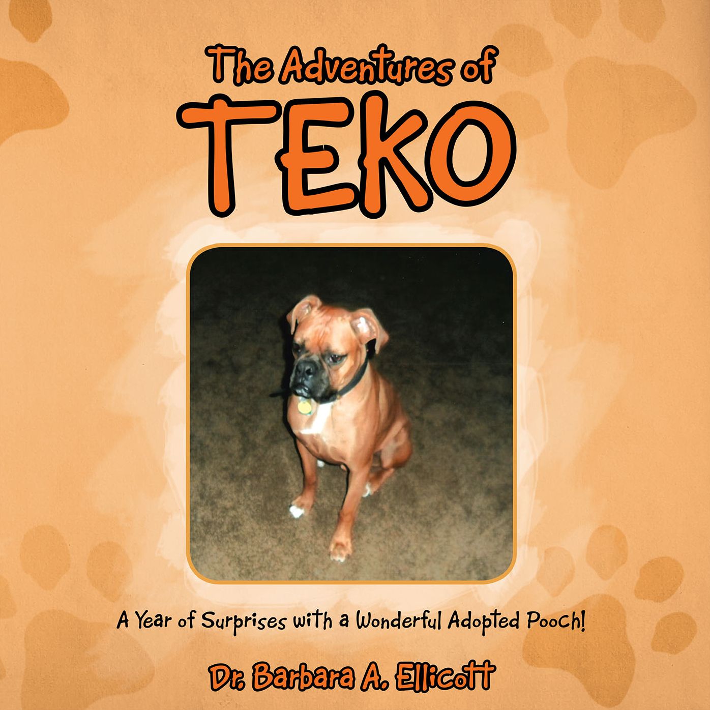 The Adventures of Teko: A Year of Surprises with a Wonderful Adopted Pooch!