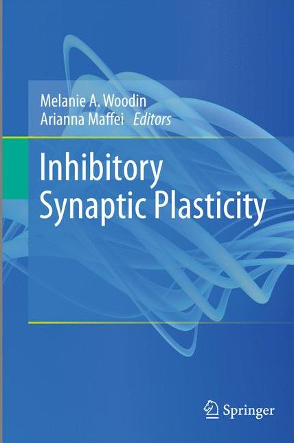 Inhibitory Synaptic Plasticity