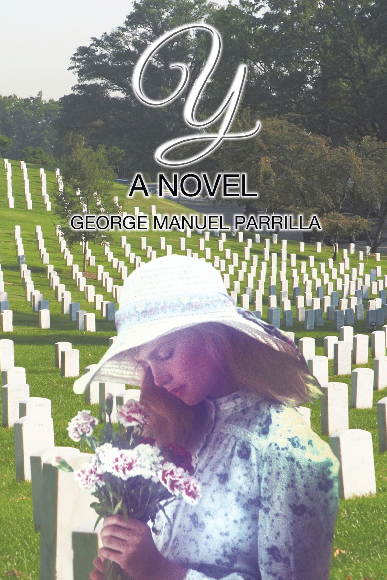 Y: A Novel