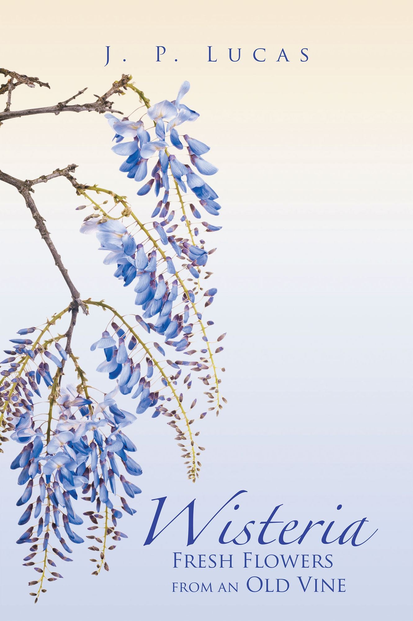 Wisteria: Fresh Flowers From an Old Vine