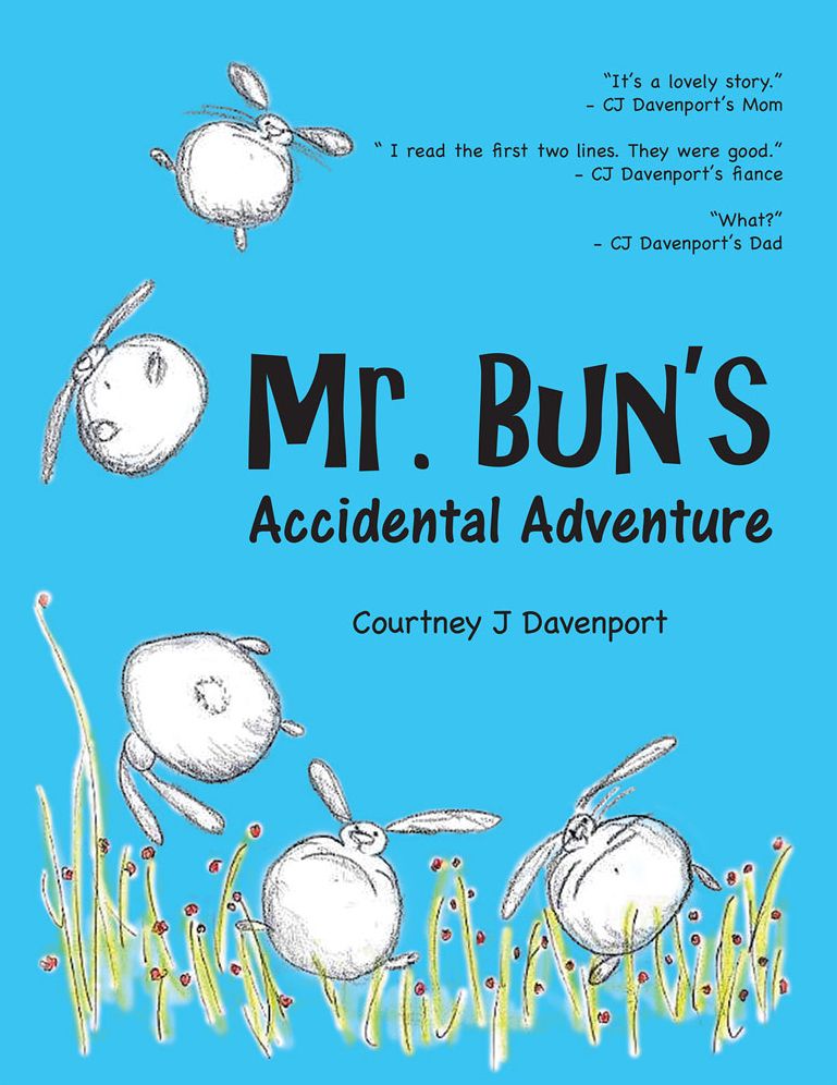 Mr. Bun's Accidental Adventure
