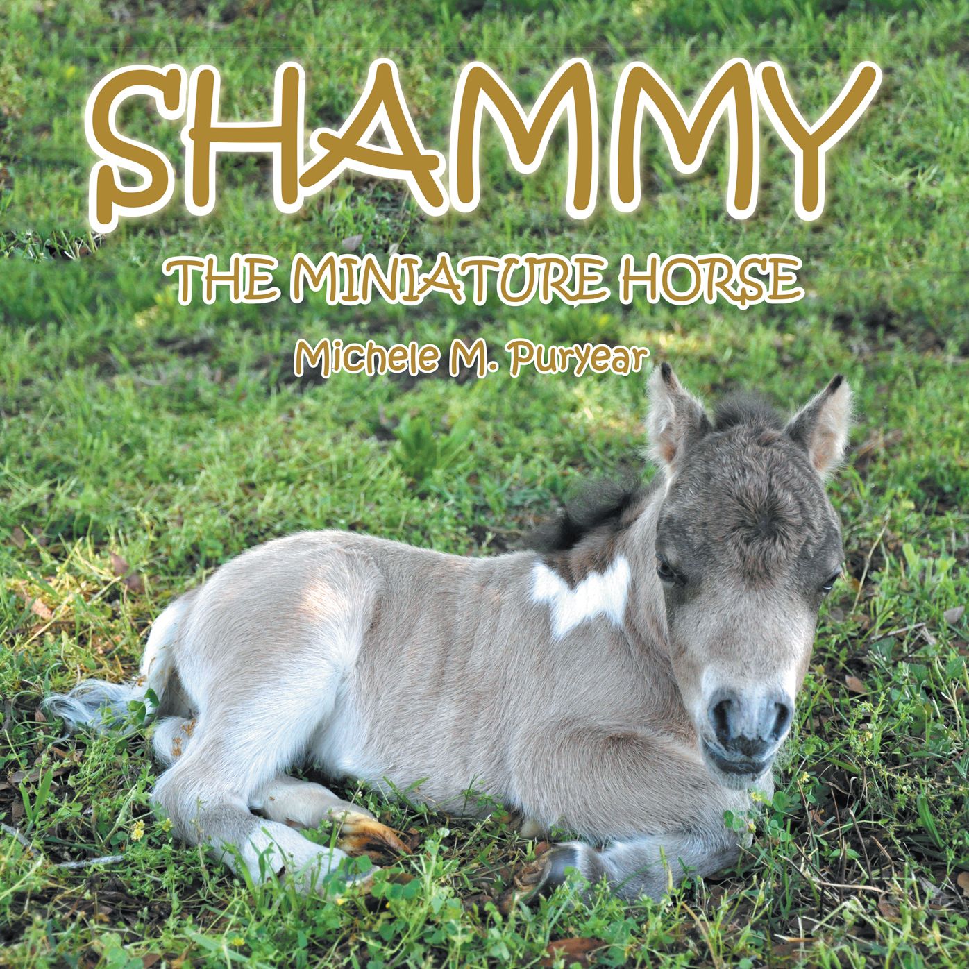 SHAMMY: THE MINITURE HORSE