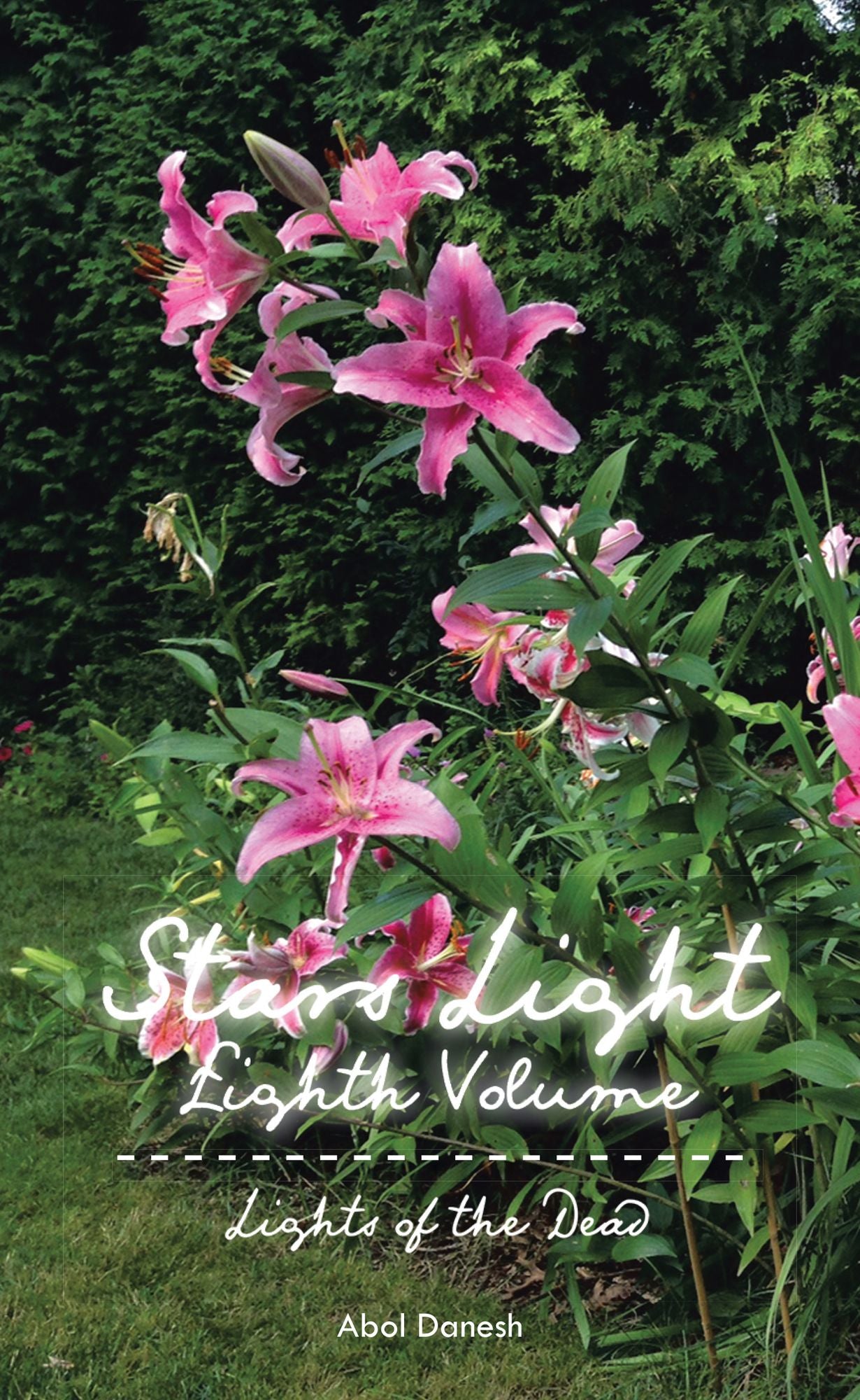 Stars Light: Eighth Volume: Lights of the Dead