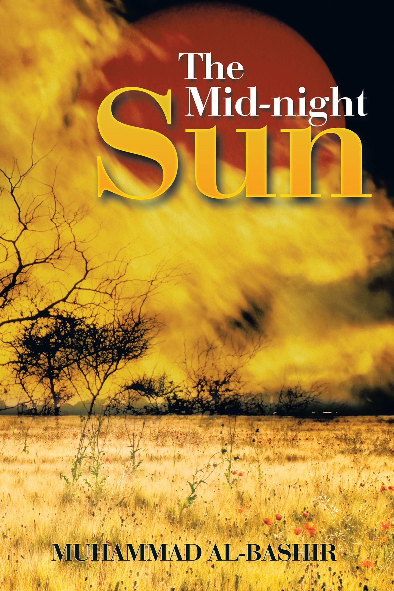 The Mid-night Sun