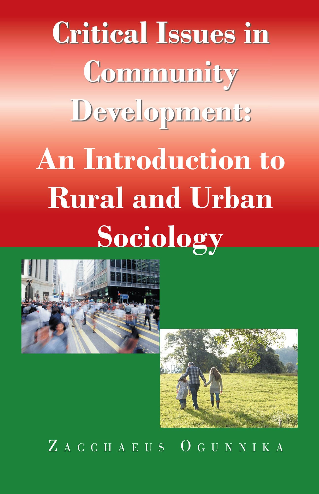 Critical Issues in Community Development: : an Introduction to Rural and Urban Sociology