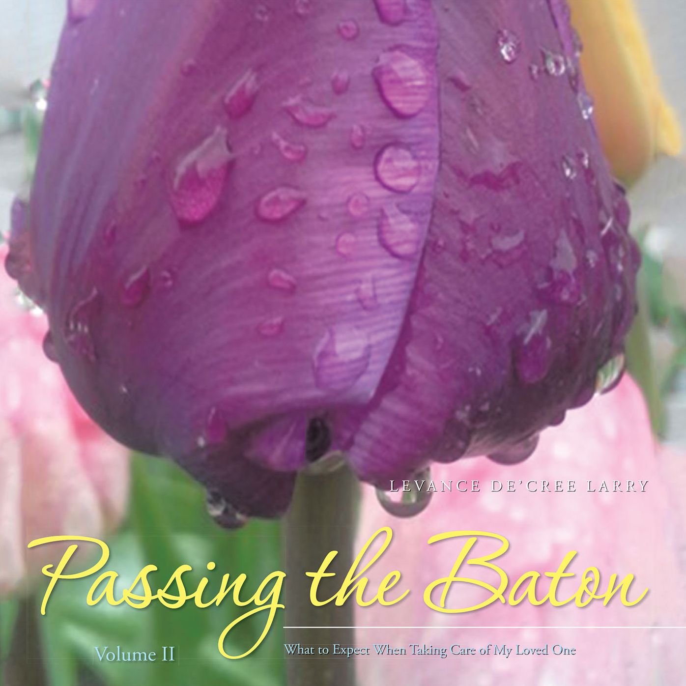 Passing the Baton: What to Expect When Taking Care of My Loved One