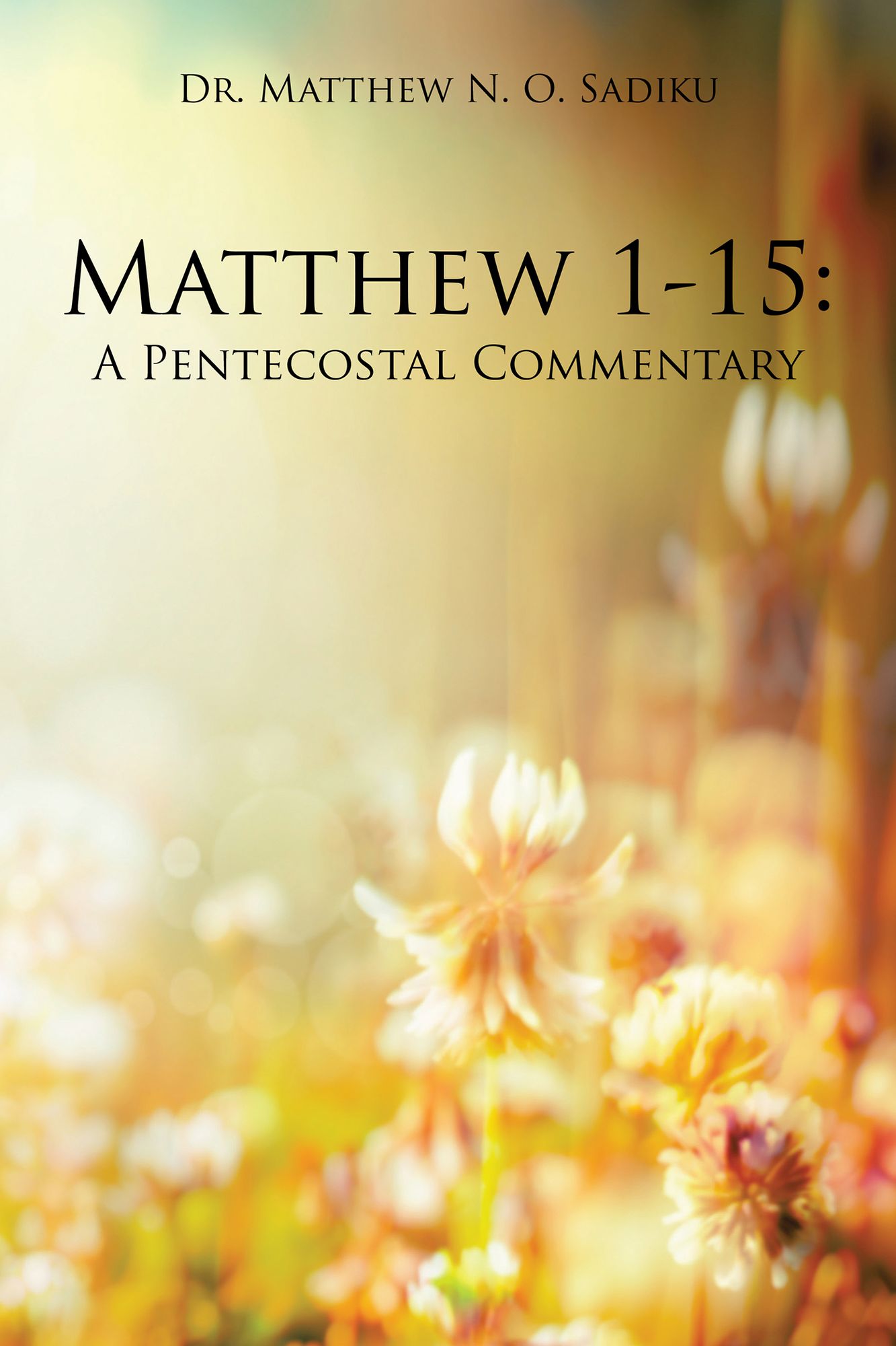 Matthew 1-15:: A Pentecostal Commentary