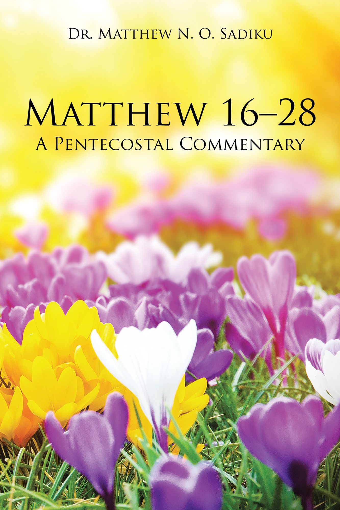 Matthew 1628: A Pentecostal Commentary