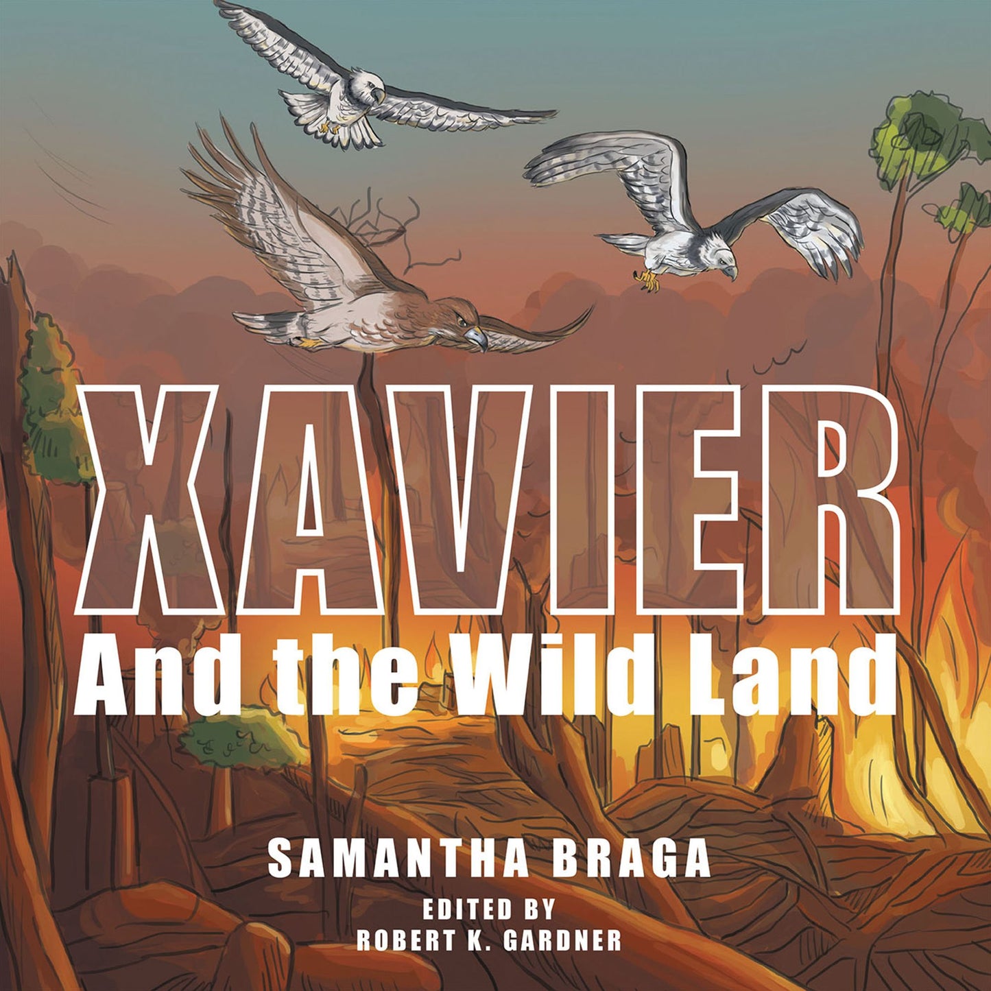Xavier: And the Wild Land