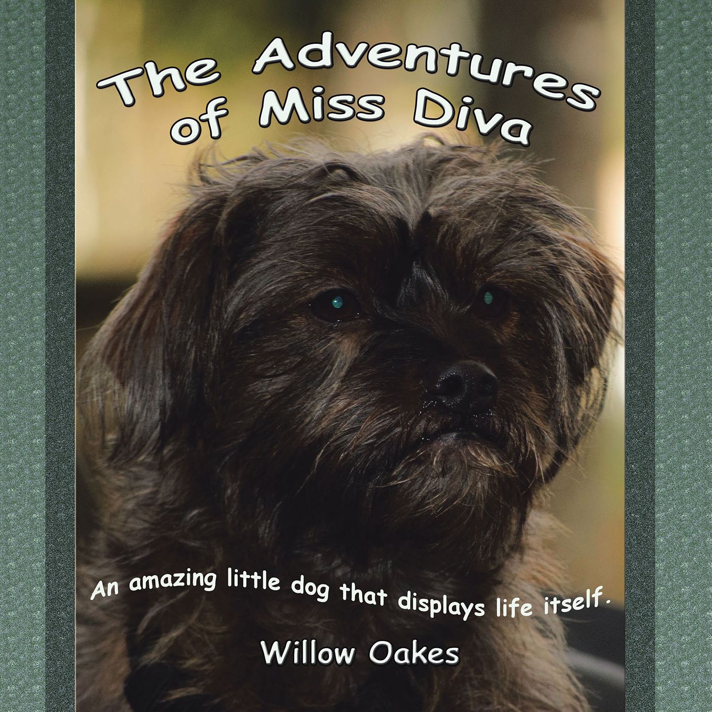 The Adventures of Miss Diva