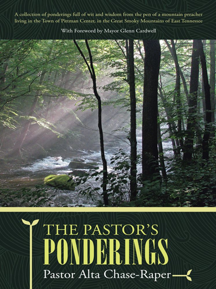 The Pastor's Ponderings