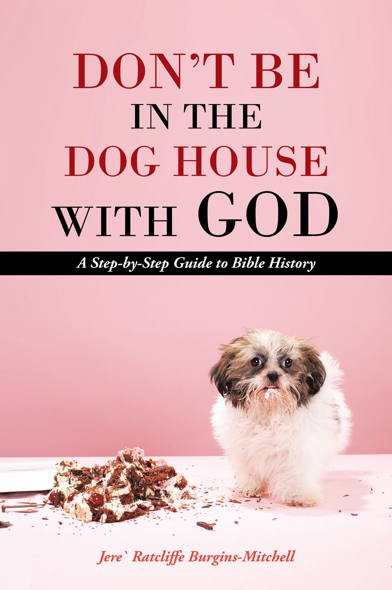 Don't Be in the Dog House with God: A Step-by-Step Guide to Bible History