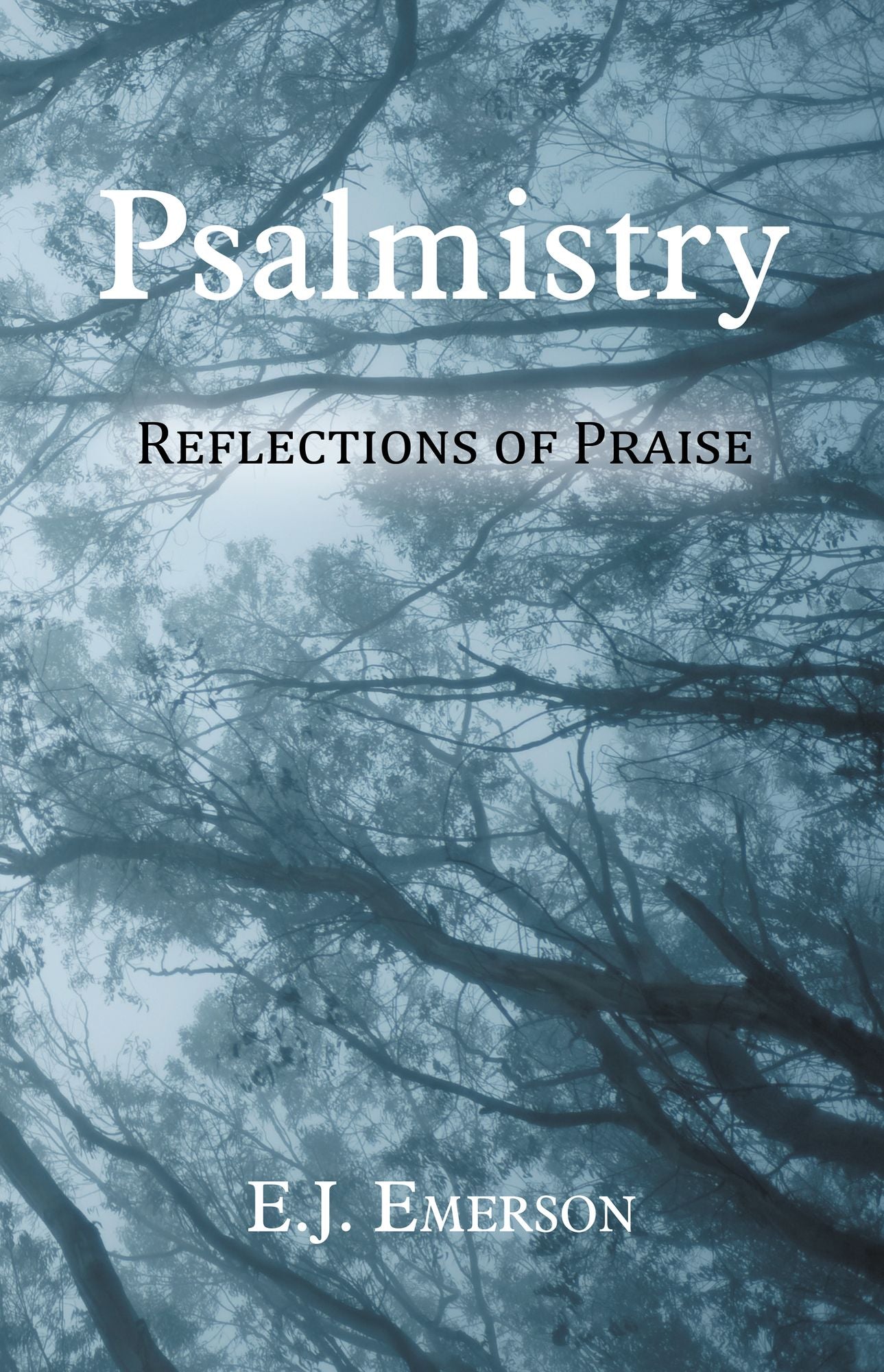Psalmistry: Reflections of Praise