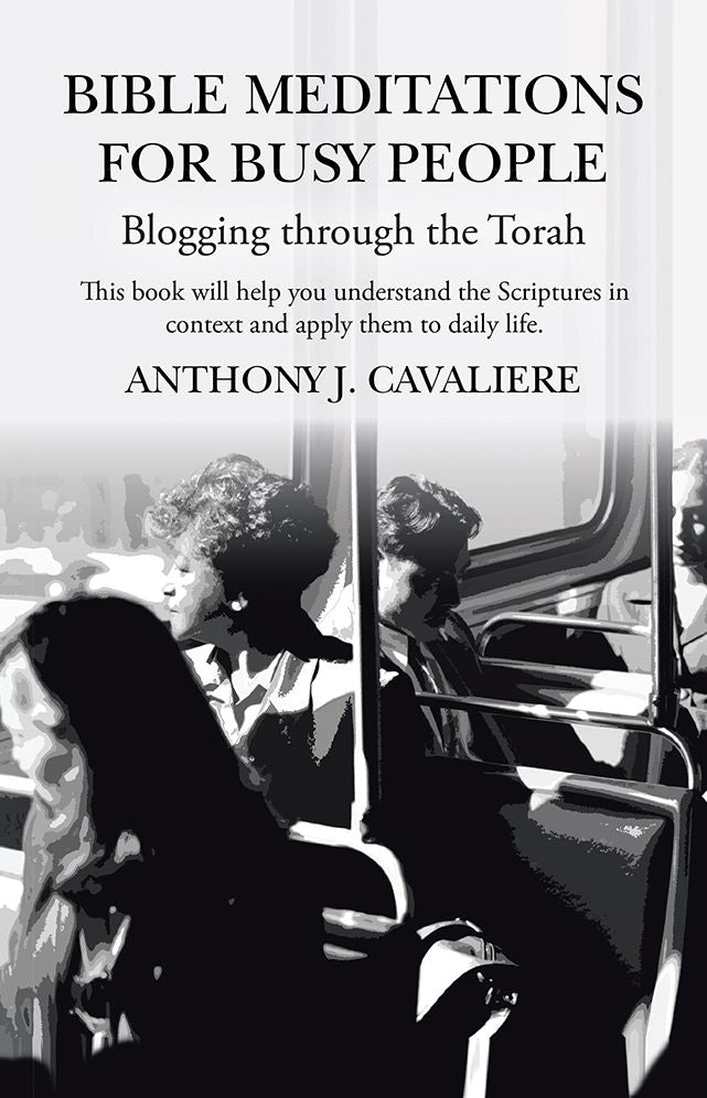 Bible Meditations for Busy People: Blogging through the Torah