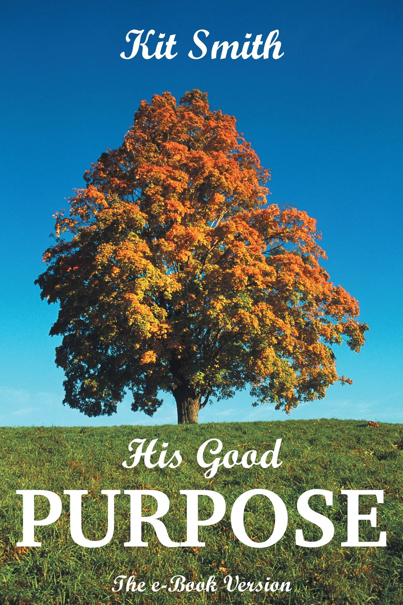 His Good Purpose: The e-Book Version