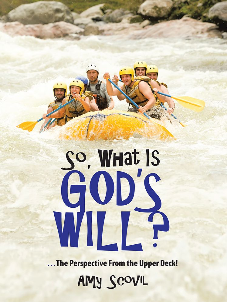 So, What Is God's Will?: ...The Perspective From the Upper Deck!