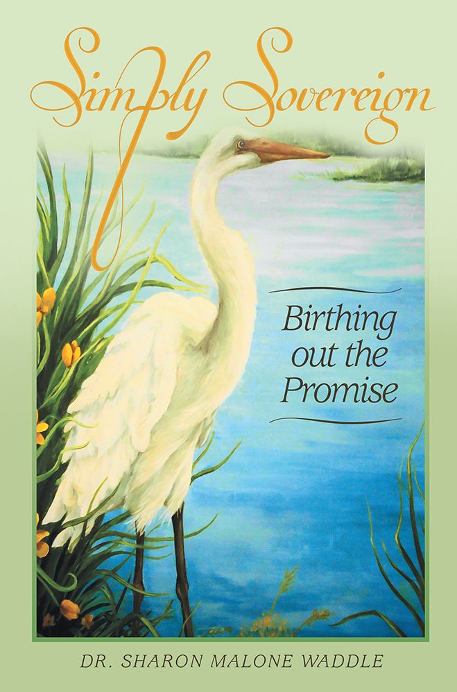 Simply Sovereign: Birthing out the Promise