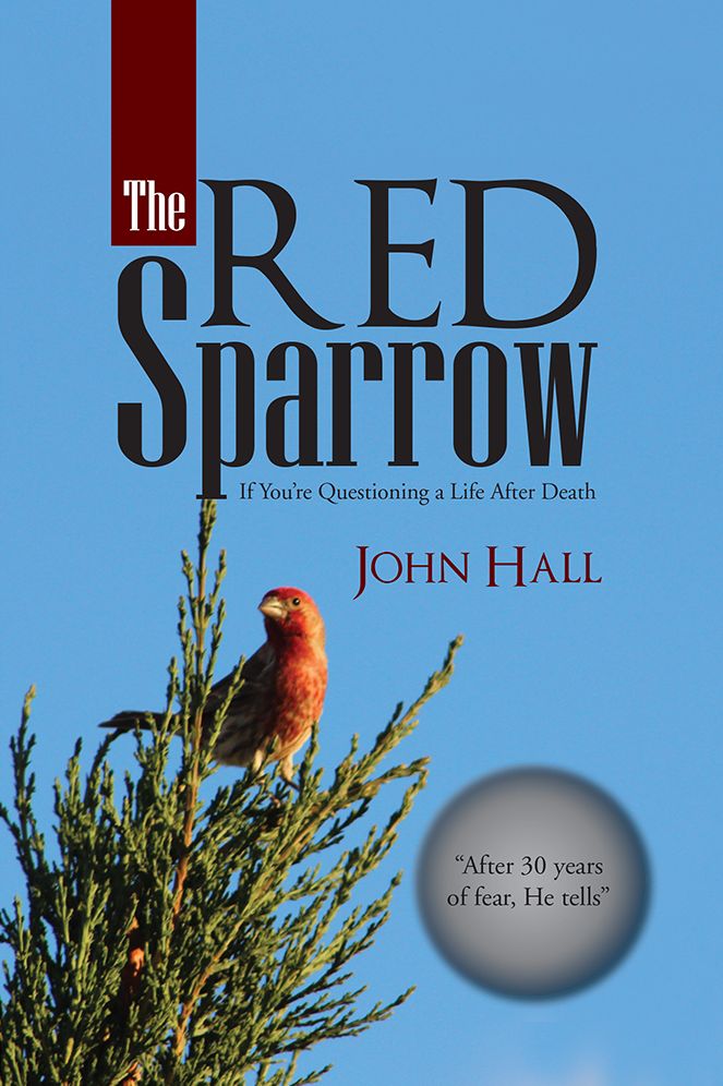 The Red Sparrow: If You're Questioning a Life After Death