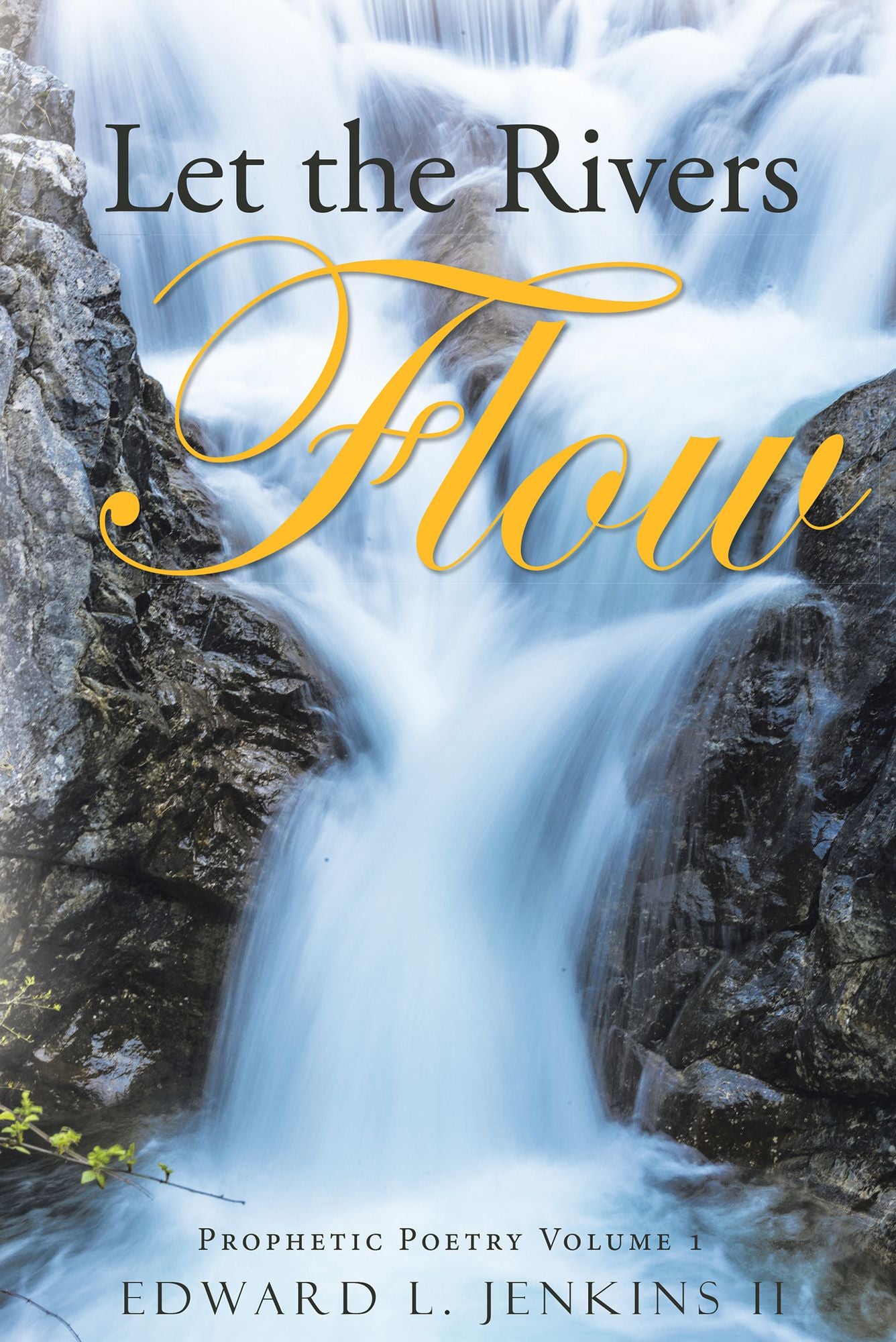 Let the Rivers Flow: Prophetic Poetry Volume 1