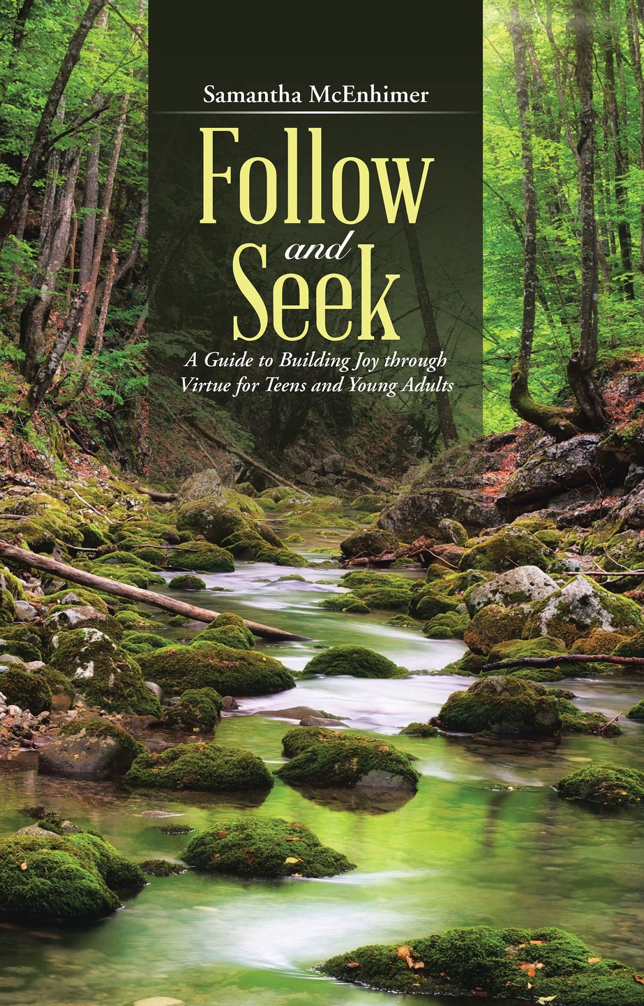 Follow and Seek: A Guide to Building Joy through Virtue for Teens and Young Adults