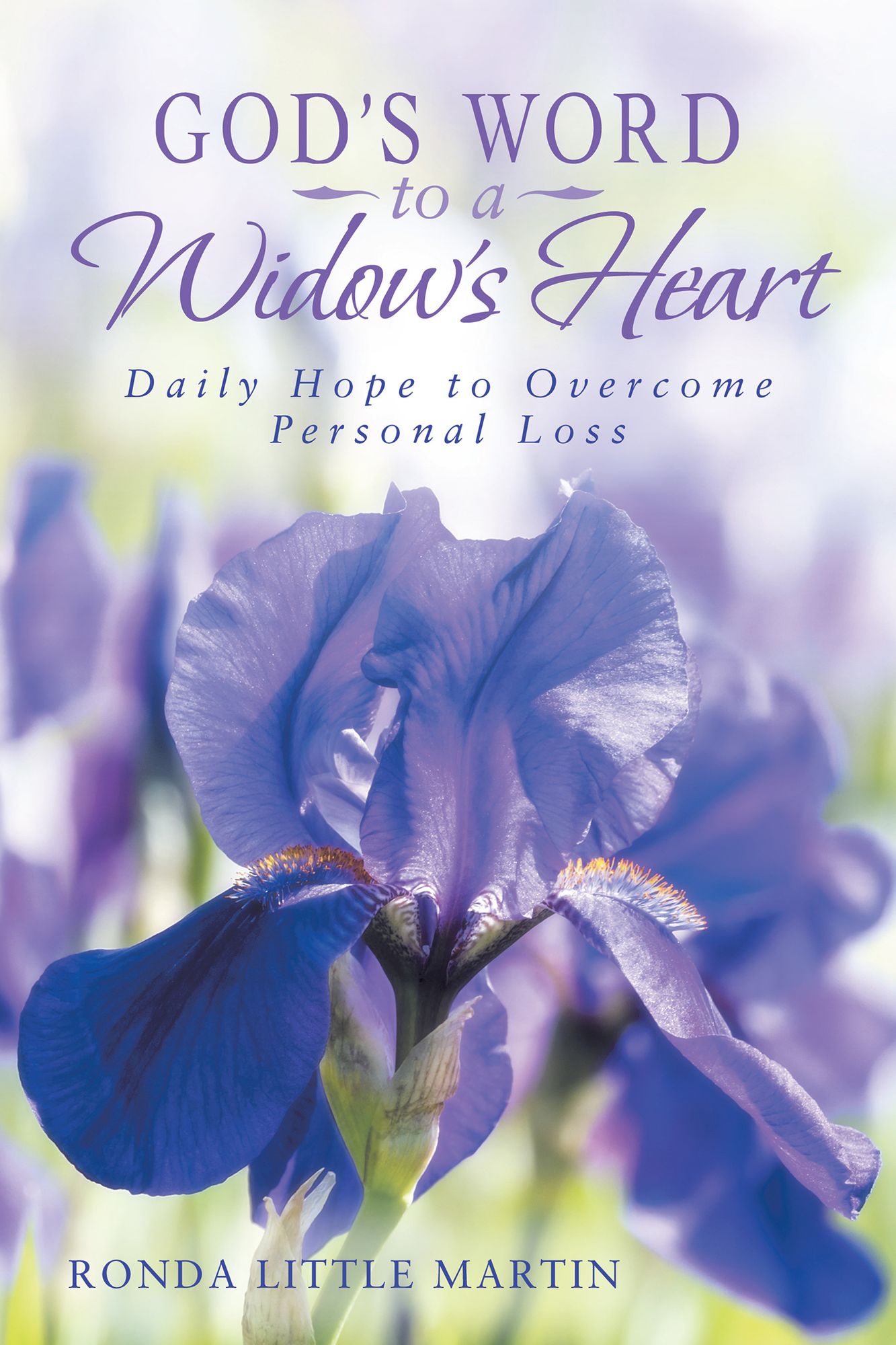 God's Word to a Widow's Heart: Daily Hope to Overcome Personal Loss