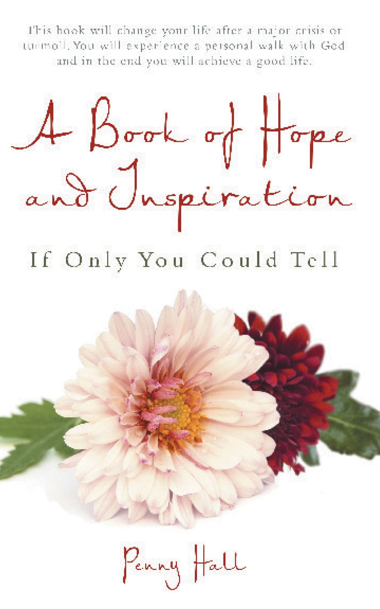 A Book of Hope and Inspiration: If Only You Could Tell