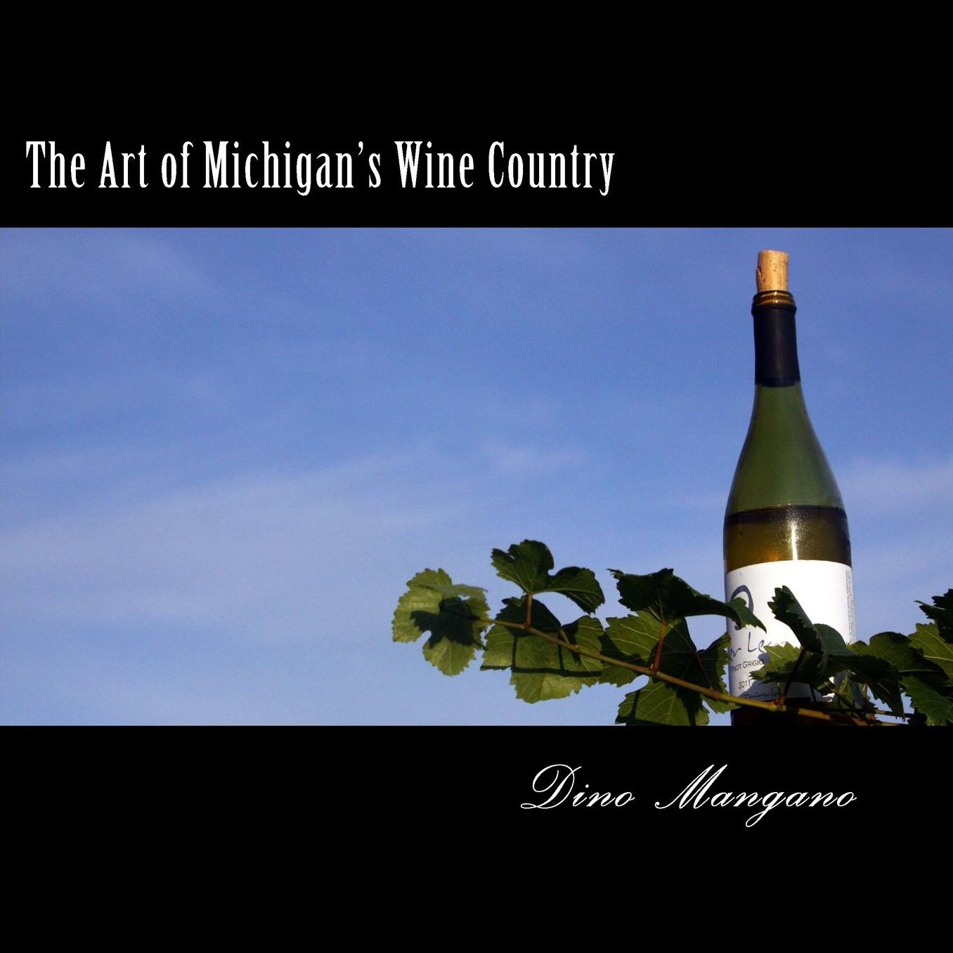 Art of Michigan's Wine Country