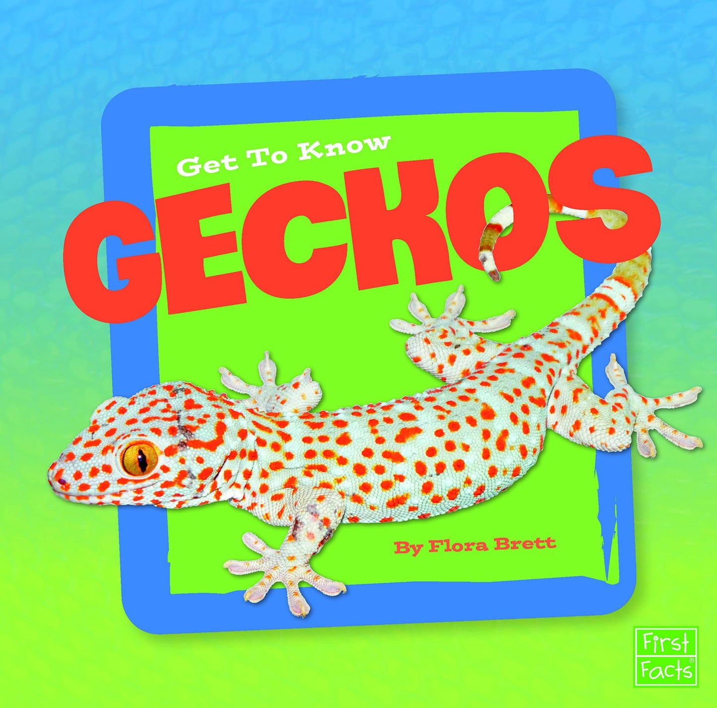 Get to Know Geckos