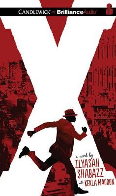 X: A Novel