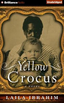 Yellow Crocus