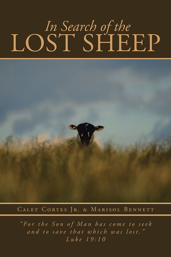 In Search of the Lost Sheep: "For the Son of Man has come to seek and to save that which was lost." Luke 19:10