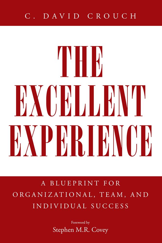 The Excellent Experience: A Blueprint for Organizational, Team, and Individual Success (PagePerfect NOOK Book)