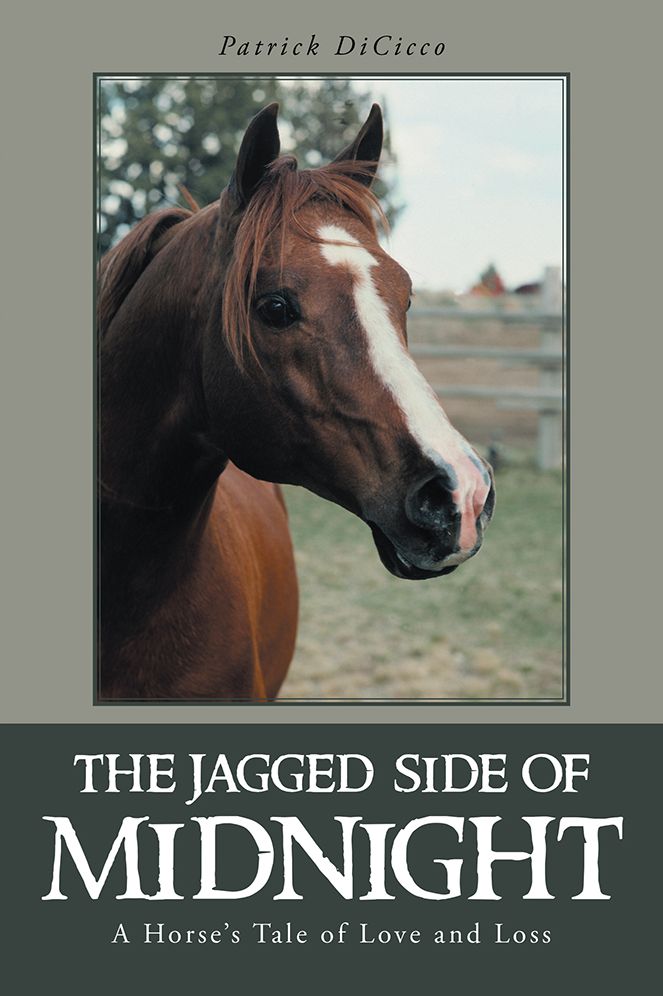 The Jagged Side of Midnight: A Horse's Tale of Love and Loss