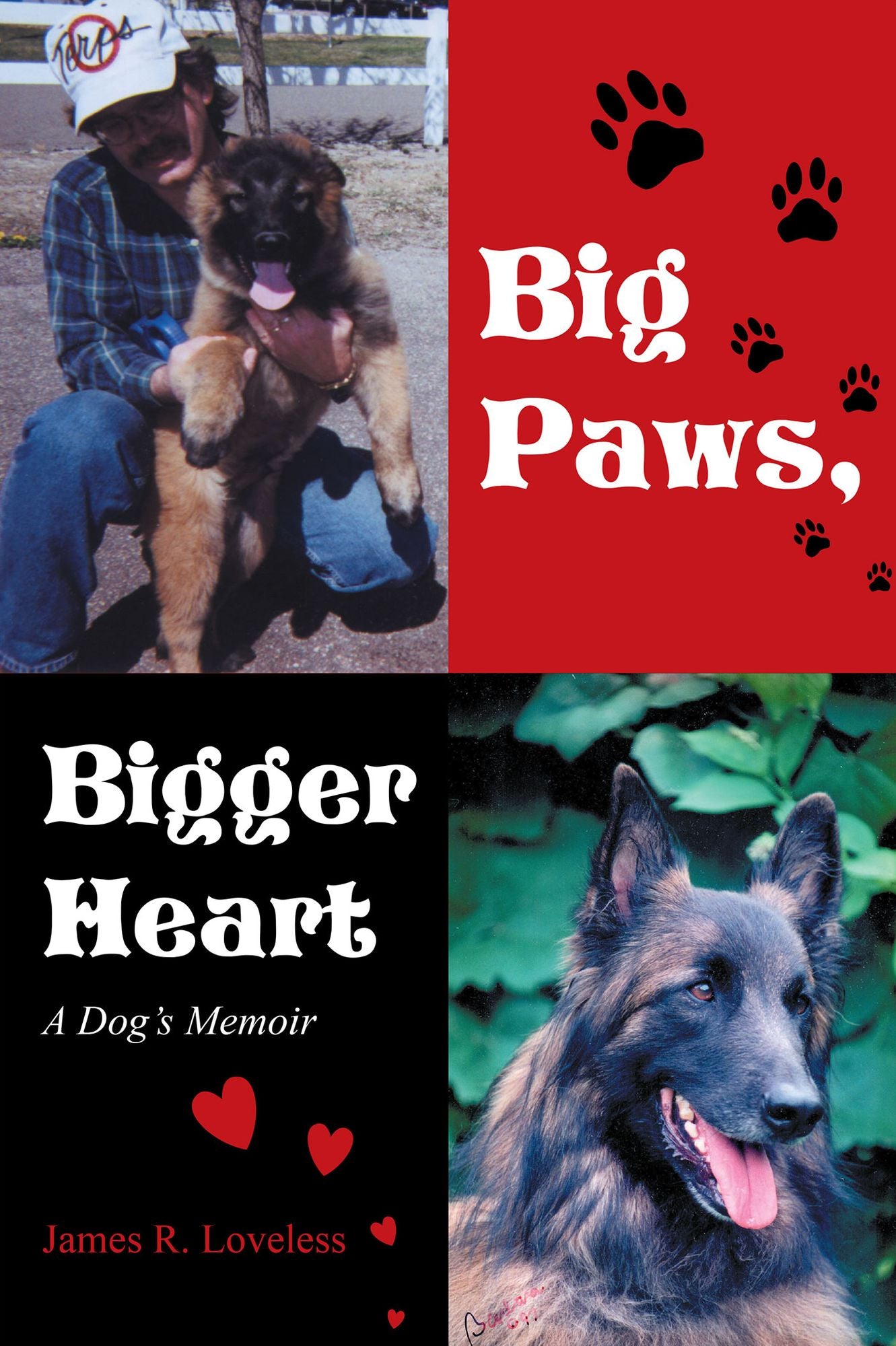 Big Paws, Bigger Heart: A Dog'S Memoir