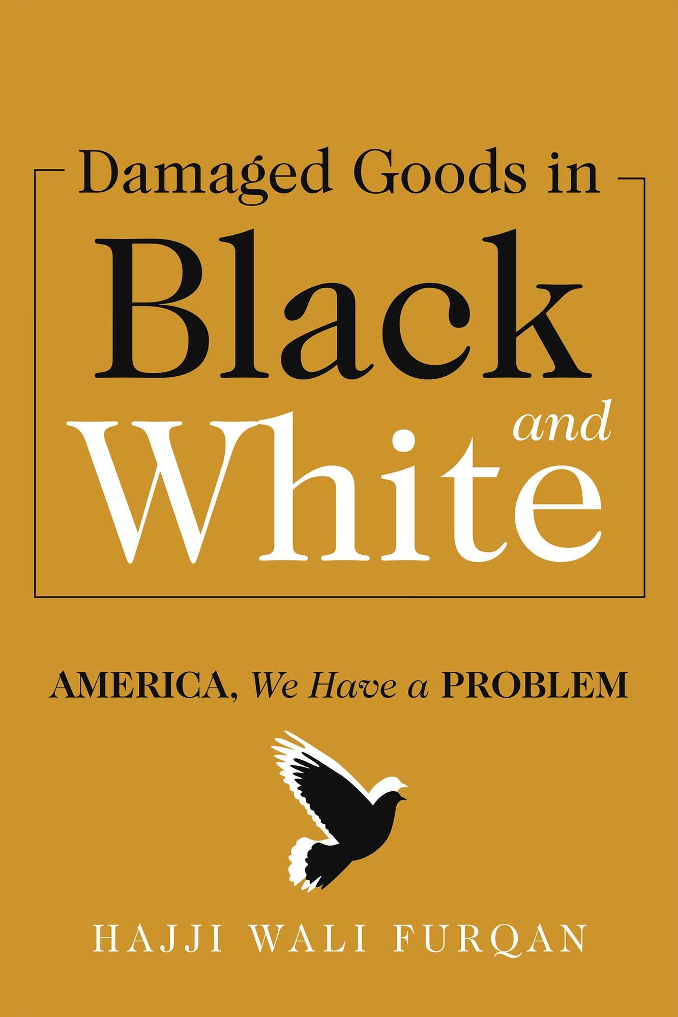 Damaged Goods in Black and White: America, We Have a Problem