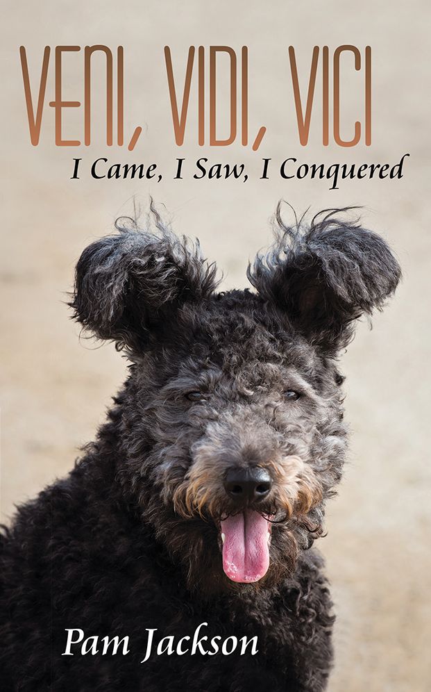 Veni, Vidi, Vici: I Came, I Saw, I Conquered