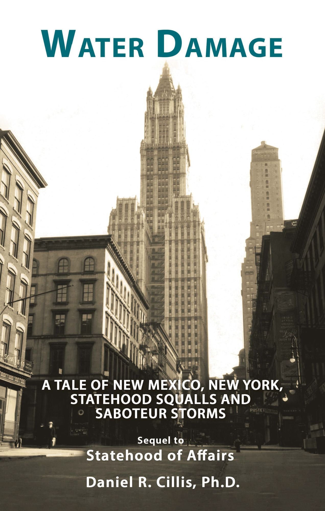 Water Damage: A Tale of New Mexico, New York, Statehood Squalls and Saboteur Storms